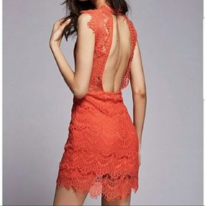 NWT Intimately Daydream  **RARE COLOR** lace dress